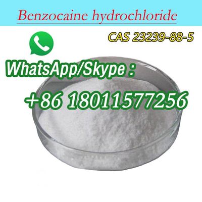 Cas 23239-88-5 Benzocaïne HCl C9H12ClNO2