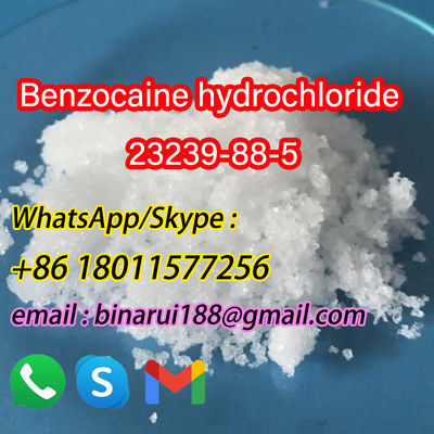 CAS 23239-88-5 Benzocaine HCl Right Price